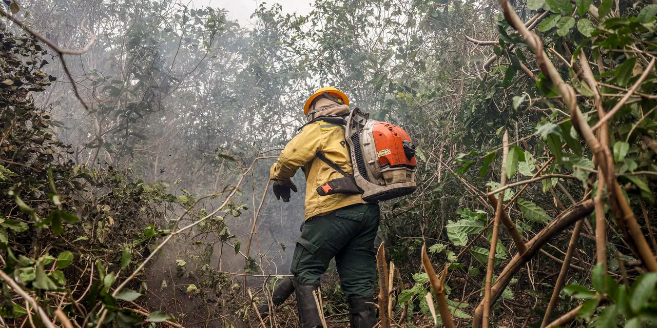 Incêdios no Amazonas resultam de ação humana intencional, diz ministro