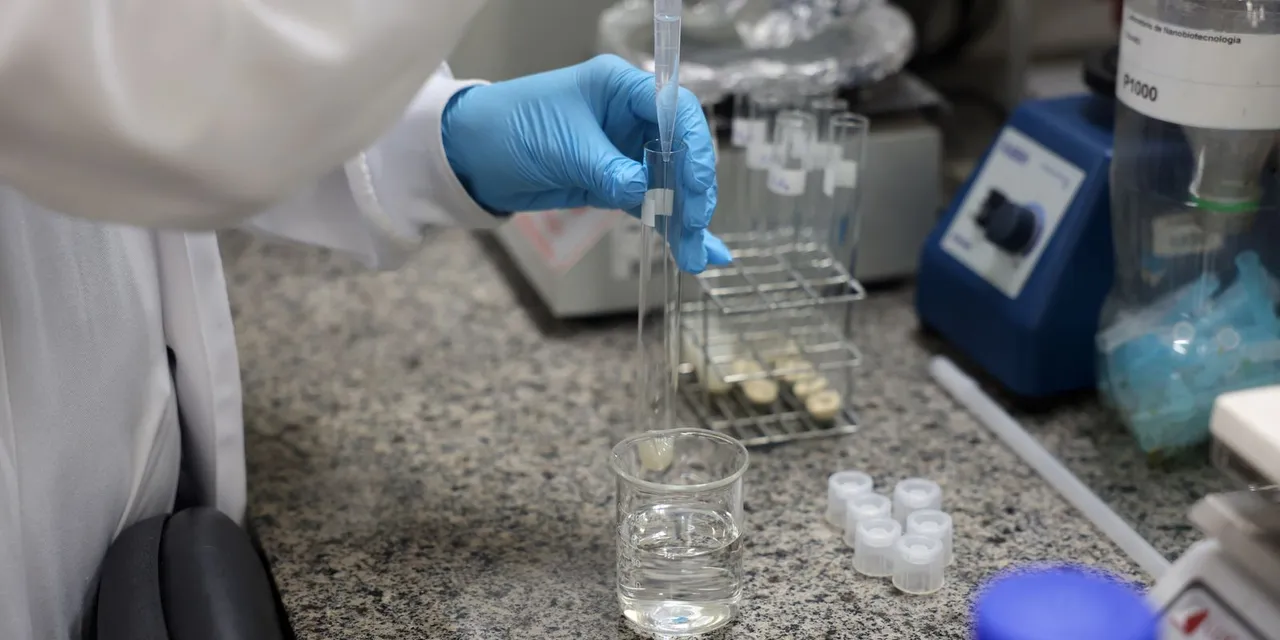 Doença de Newcastle: protocolos sanitários são cumpridos em SC