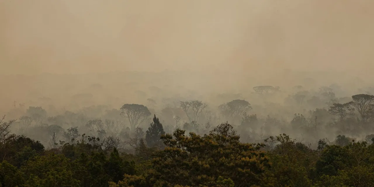 Força Nacional do SUS apoia atendimentos no Amazonas após incêndios
